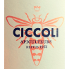 Ciccoli